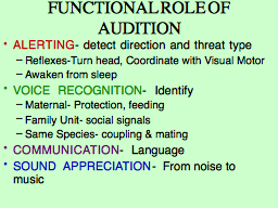 FUNCTIONAL ROLE OF AUDITION