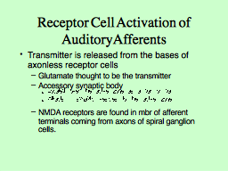 Receptor Cell Activation of Auditory Afferents