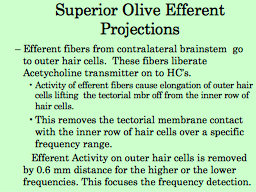 Superior Olive Efferent Projections