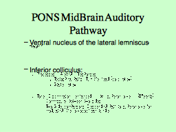 PONS MidBrain Auditory Pathway