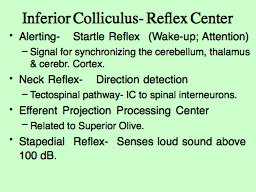 Inferior Colliculus- Reflex Center