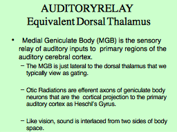 AUDITORY RELAY  Equivalent Dorsal Thalamus