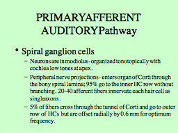 PRIMARY AFFERENT AUDITORY Pathway