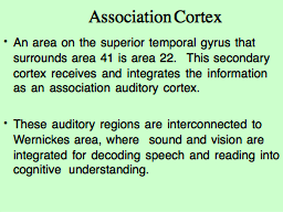 Association Cortex