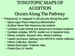 TONOTOPIC MAPS OF AUDITION Occurs Along The Pathway