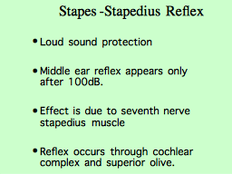 Stapes -Stapedius  Reflex 