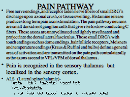 PAIN PATHWAY