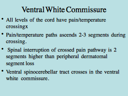 Ventral White Commissure