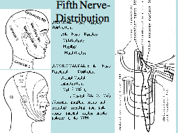 Fifth Nerve- Distribution  