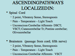 ASCENDING PATHWAYS LOCALIZED IN: