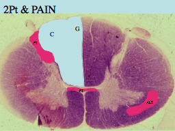 Slide 20