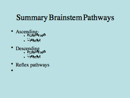 Summary Brainstem Pathways