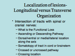  Localization of lesions-  Longitudinal versus Transverse   Organization  