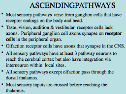 ASCENDING PATHWAYS