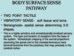 BODY SURFACE SENSE PATHWAY 