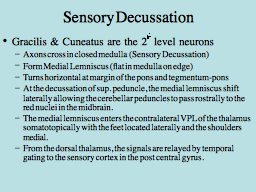 Sensory Decussation