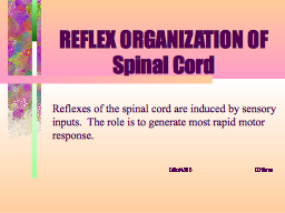 REFLEX ORGANIZATION OF Spinal Cord