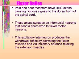 Flexor Reflex