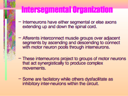 Intersegmental Organization