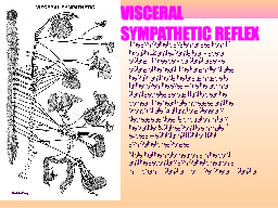 VISCERAL SYMPATHETIC REFLEX