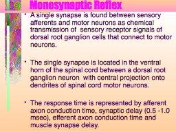 Monosynaptic Reflex