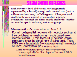 SEGMENTAL REFLEXES