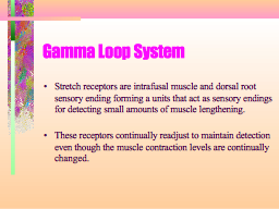 Gamma Loop System