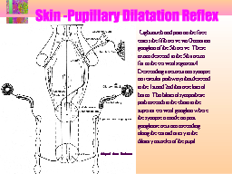 Skin -Pupillary Dilatation Reflex