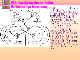 VOR- Vestibular Ocular Reflex  Horizontal Eye Movement 