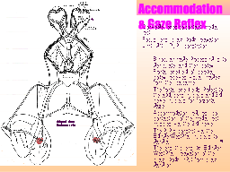 Accommodation & Gaze Reflex