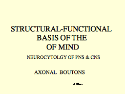  STRUCTURAL-FUNCTIONAL  BASIS OF THE  OF MIND  NEUROCYTOLGY OF PNS & CNS 