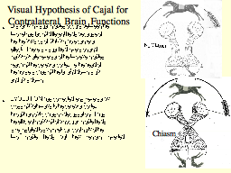 Visual Hypothesis of Cajal for Contralateral Brain Functions