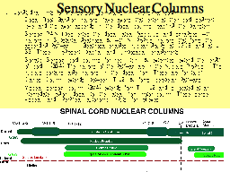 Sensory Nuclear Columns