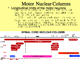  Motor  Nuclear Columns