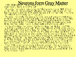 Neurons form Gray Matter