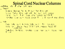 Spinal Cord Nuclear Columns