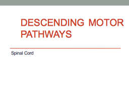 DESCENDING MOTOR PATHWAYS