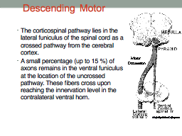 Descending Motor  