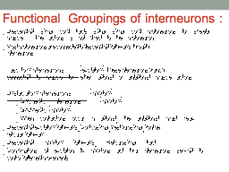 Functional Groupings of interneurons :