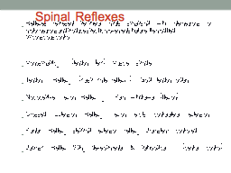 Spinal Reflexes