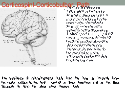 Corticospinl-Corticobulbar  Path