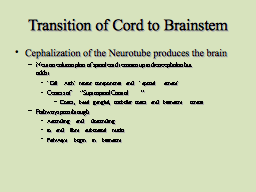 Transition of Cord to Brainstem