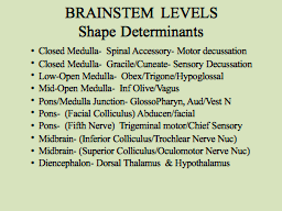 BRAINSTEM LEVELS Shape Determinants