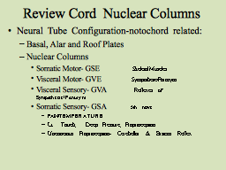 Review Cord Nuclear Columns