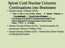 Spinal Cord Nuclear Columns  Continuations into Brainstem