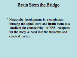 Brainstem the Bridge