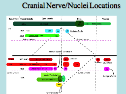 Cranial Nerve/Nuclei Locations