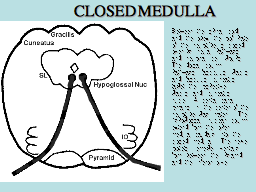 CLOSED MEDULLA