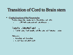 Transition of Cord to Brainstem