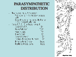 PARASYMPATHETIC      DISTRIBUTION